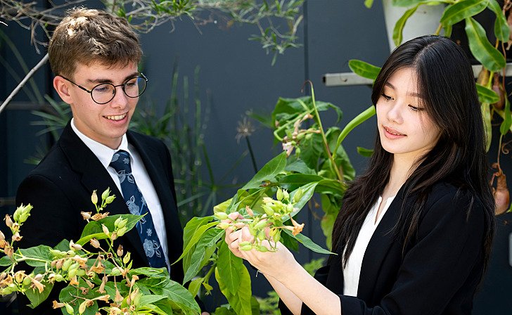  Art plants Boy Hero copy  