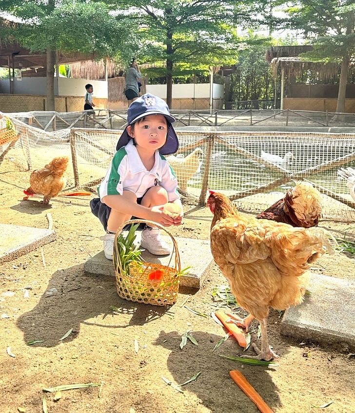  Pupils interacting with chickens during a field trip, learning through nature and real-world experiences at Brighton College Vibhavadi. 